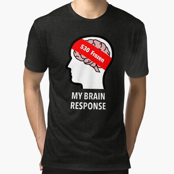 My Brain Response: 530 Frozen Tri-Blend T-Shirt product image