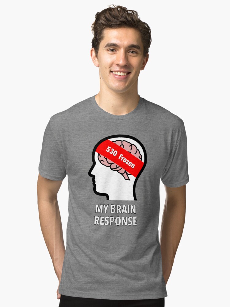 My Brain Response: 530 Frozen Tri-Blend T-Shirt product image