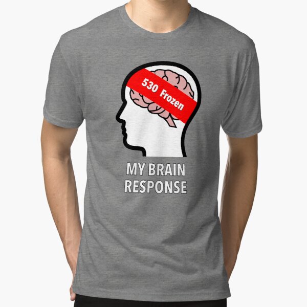 My Brain Response: 530 Frozen Tri-Blend T-Shirt product image