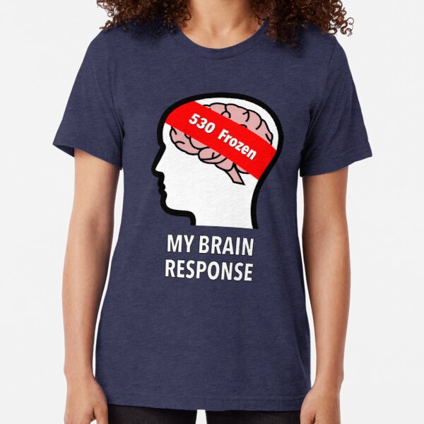 My Brain Response: 530 Frozen Tri-Blend T-Shirt product image