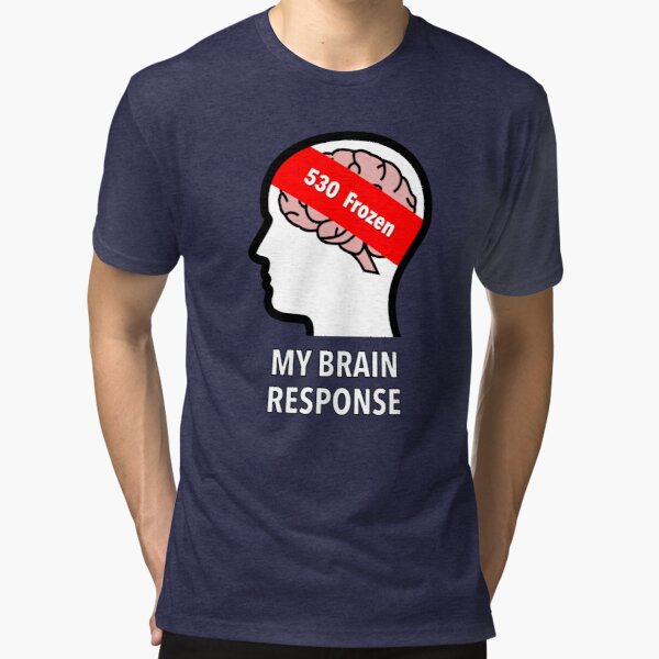 My Brain Response: 530 Frozen Tri-Blend T-Shirt product image