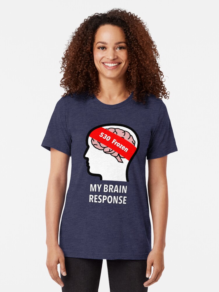 My Brain Response: 530 Frozen Tri-Blend T-Shirt product image