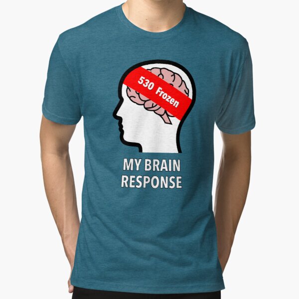 My Brain Response: 530 Frozen Tri-Blend T-Shirt product image